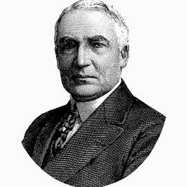 President Warren G. Harding Graphic by War Is Hell Store