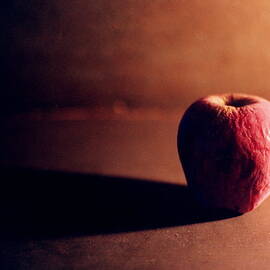 Pruned Apple Still Life by Michelle Calkins