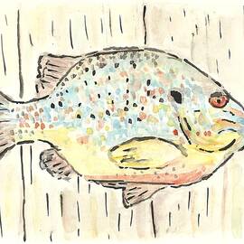 Pumpkinseed Sunfish by Matt Gaudian
