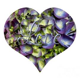 Purple and Cream Hydrangea Flowers Heart with Love
