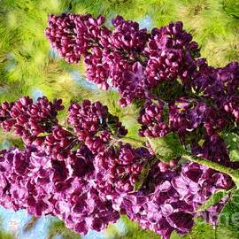 Purple Lilac 1 by Jean Bernard Roussilhe