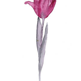 Purple tulip botanical artwork poster by Joanna Szmerdt