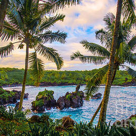 Quintessential Hawaii by Joy McAdams