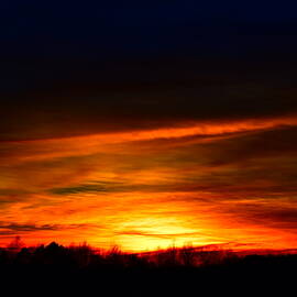 Raging Fires 