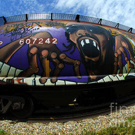 Railway Graffiti Genius 2 by Bob Christopher