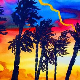Rainbow Palms in Florida