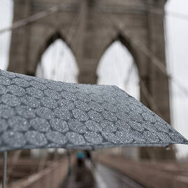 Rainy Day on the Brooklyn Bridge Brooklyn New York Cables Umbrella