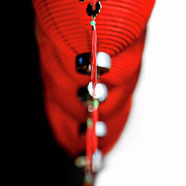 Raise The Red Lantern by Evelina Kremsdorf