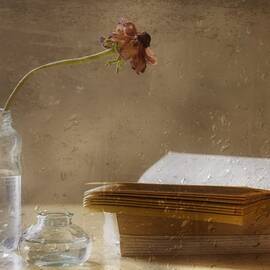 Reading Day by Delphine Devos