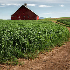 Red Barn in Green Field by Bob Cournoyer