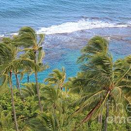 Reef Overlook by John Franke