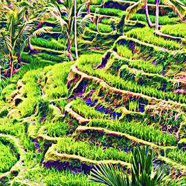 Rice Terraces Of Bali by Jerome Stumphauzer