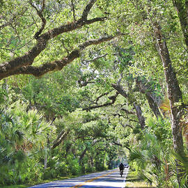 Riding The Ormond Loop