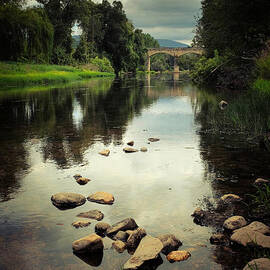 River Landscape by Carlos Caetano
