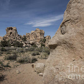 Rock Formation at Joshua Tree National Park by Juli Scalzi