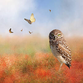 Romping In The Poppy Field by Kim Hojnacki