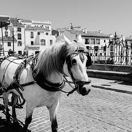 Spain - Streets of Ronda  by AM FineArtPrints
