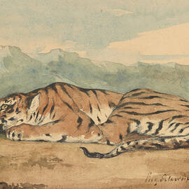 Royal Tiger, by 1863