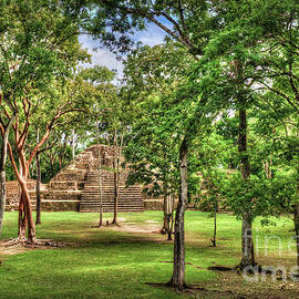 Mayan Plaza Ruins Cahal Pech  by David Zanzinger