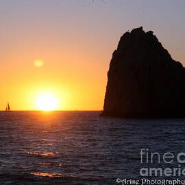 Sailboat in the sunset Cabo San Lucas Mexico by Charlene Cox