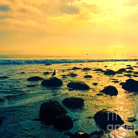 Santa Barbara California Ocean Sunset