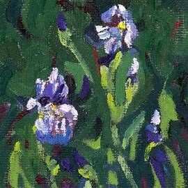 Saugeen Hillside Wild Iris