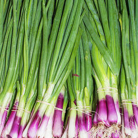 Scallions by Juli Scalzi