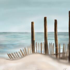 Sea fence by Christine Fournier