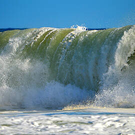 Seaside Energy by Dianne Cowen Cape Cod Photography