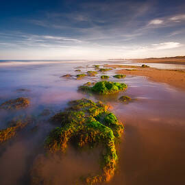 Seaside by Piotr Krol (bax)