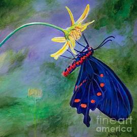 Semperi Swallowtail Butterfly by AnnaJo Vahle