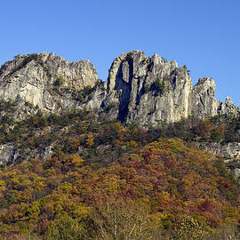 Seneca Rocks West Virginia  by Brendan Reals
