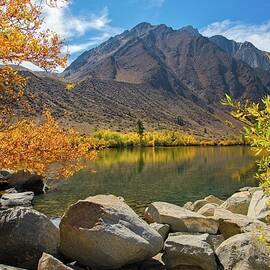 Shades of Fall by Lynn Bauer