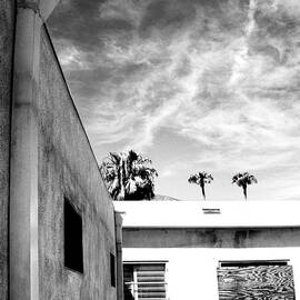 BEYOND THE SHIELD Palm Springs CA by William Dey