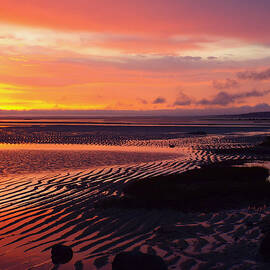 Shore Lines - Cape Cod Bay by Dianne Cowen Cape Cod Photography