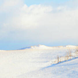 SIMPLY SNOW LANDSCAPE by Theresa Tahara