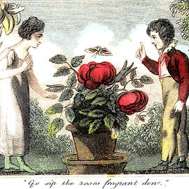 Sip the Roses Fragrant Dew by Unknown