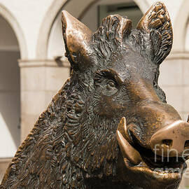 Sitting Wild Boar by Bob Phillips