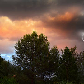 Sky Violence by Frank Wilson