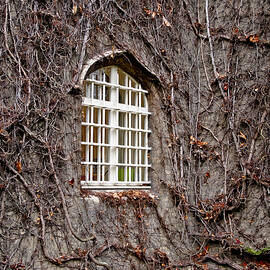 Sleeping beauty habitat. by Elena Perelman