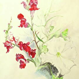 Snapdragon Rising by Bonnie See