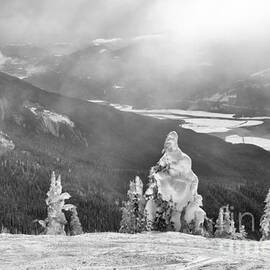 Snow Ghosts Overlooking The Columbia River Black And White by Adam Jewell