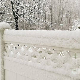 Snow on the Fence by Srinivasan Venkatarajan