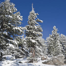 Snowscape 2 by Kelley King
