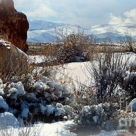 Snowy Nevada Day by Bobbee Rickard