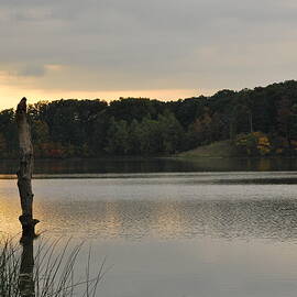 Solitude by Michelle Hastings