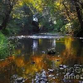Soothed By The Babbling Brook by Teresa A Lang