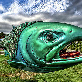 Soul Salmon in HDR by Rob Green