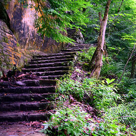 South Chagrin Reservation 31 by James Richmond