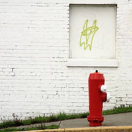 space invader and the unsuspecting hydrant  by Kreddible Trout
